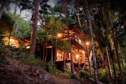 Currumbin Valley House | Currumbin Rainforest Treehouse