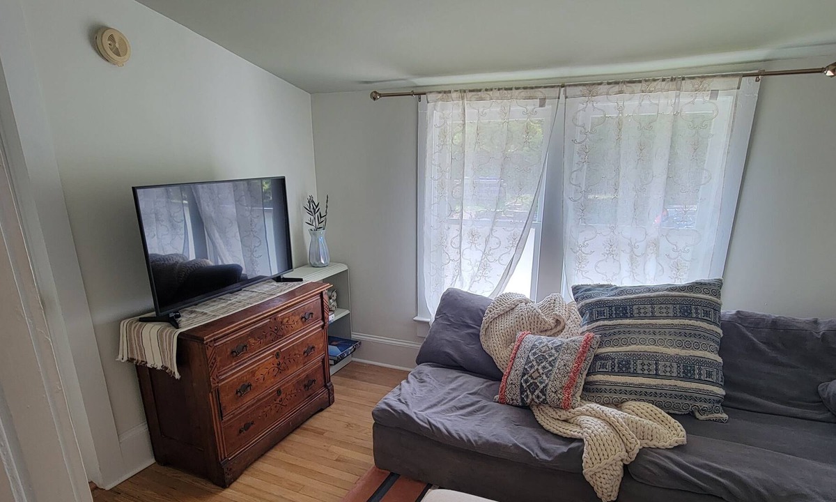 Downtown Apartment | Cute Sun filled Private Apartment