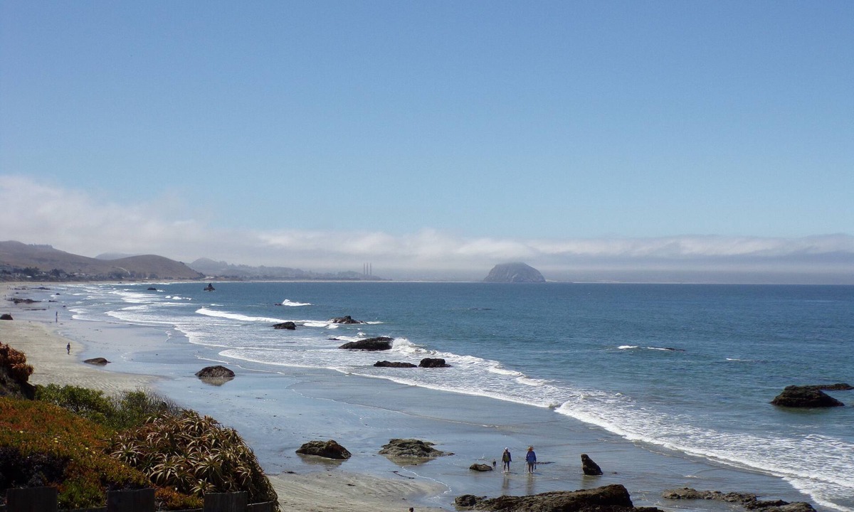 Cayucos Hotel | Cypress Tree Motel