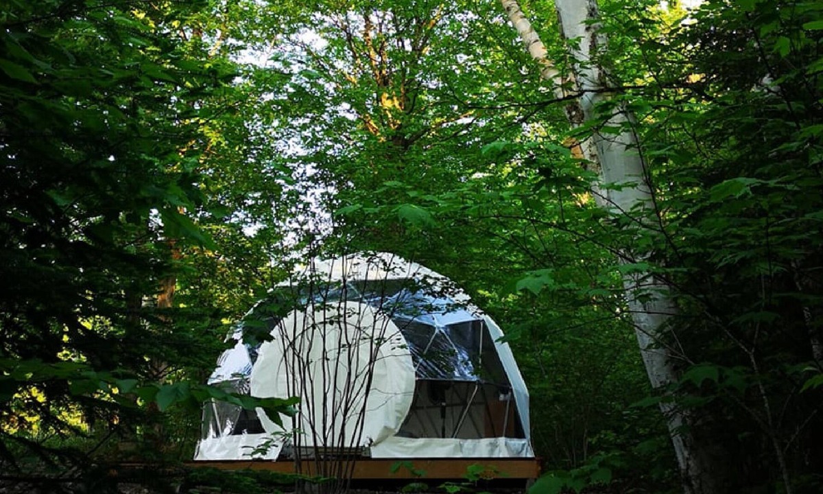 Notre-Dame-Auxiliatrice-de-Buckland Ski Chalet | Dôme Forestier: Glamping, nature, stars, comfort, shared kitchen, CITQ304716.