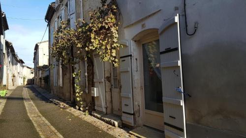 Terraube Apartment | D'Artagnan