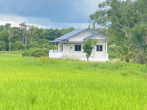 Tumpat House | D'Bendang Homestay