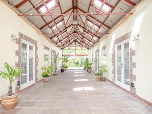 Great Hatfield House | Daffodil - W43304