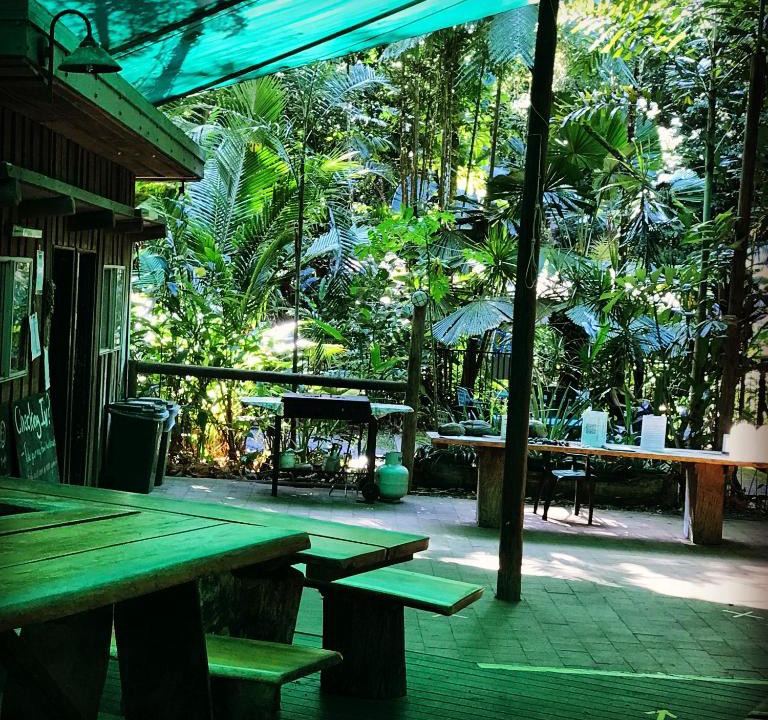 Cow Bay Cabin | Daintree Crocodylus