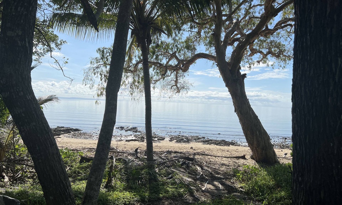 Cow Bay Cabin | Daintree Crocodylus