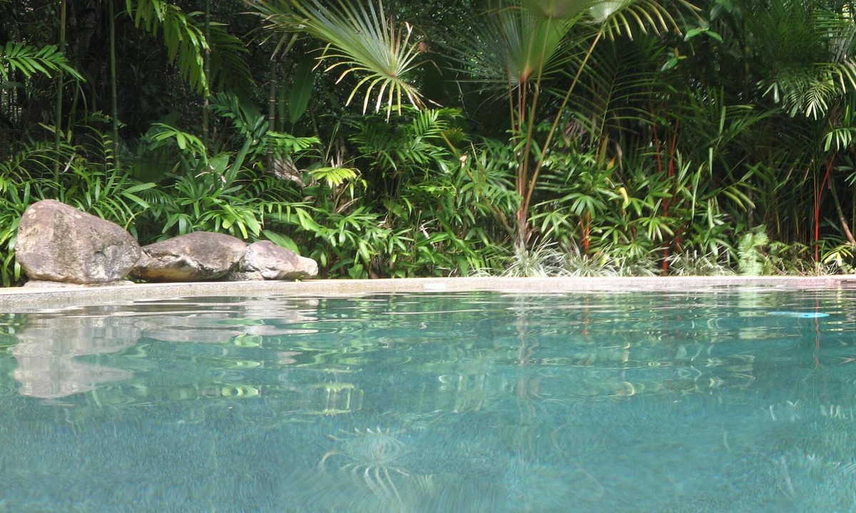 Cow Bay Hotel | Daintree Rainforest Retreat
