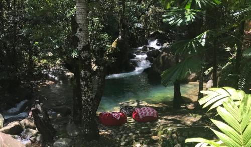 Diwan House | Daintree Secrets Rainforest Sanctuary