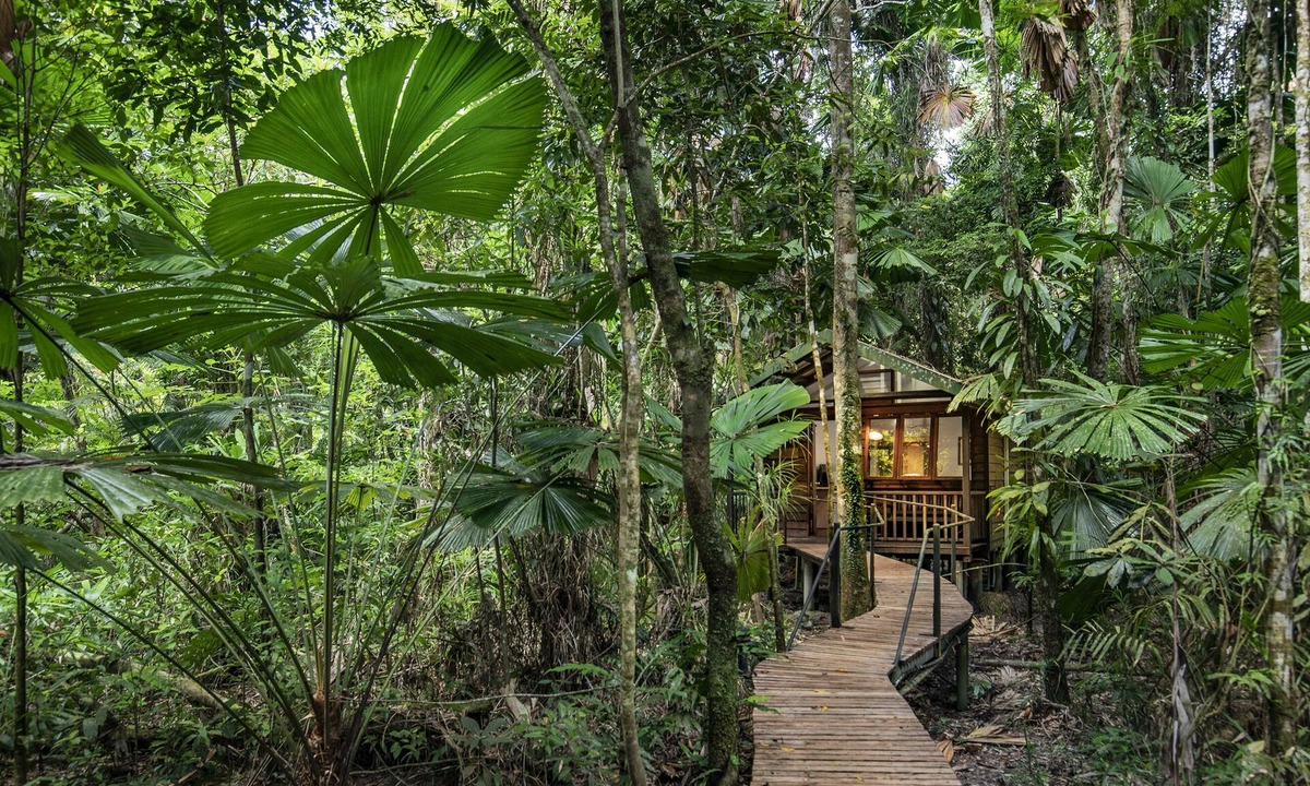 Diwan Cabin | Daintree Wilderness Lodge