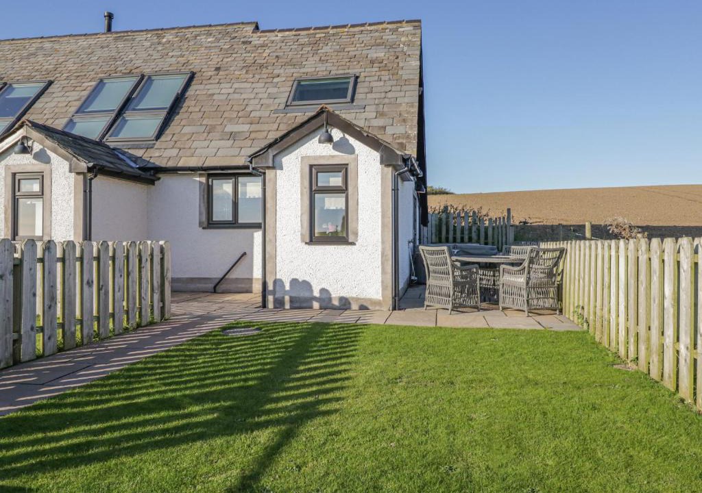 Newton in Furness House | Daisy Cottage