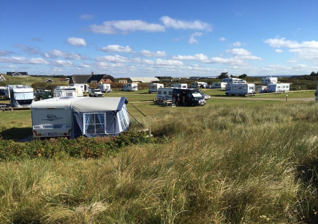 Argab Other | Dancamps Holmsland (Camp Site)