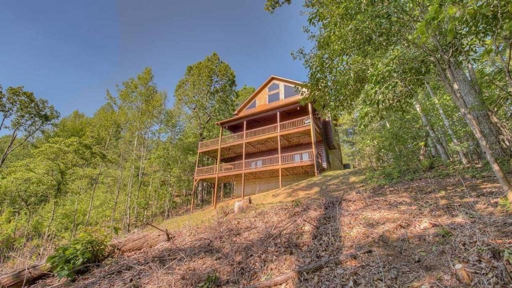 My Mountain House | Dancing Bear