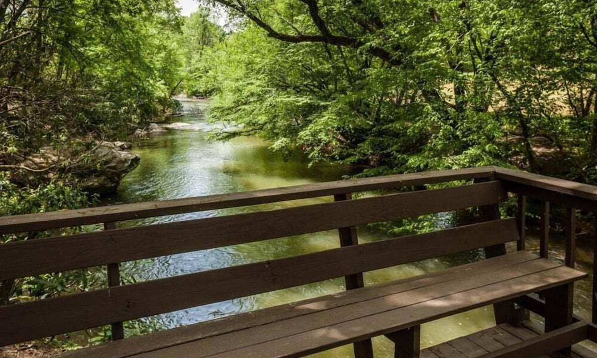 Ellijay Cabin | Dancing Waters - River Front, Fishing, Game Room