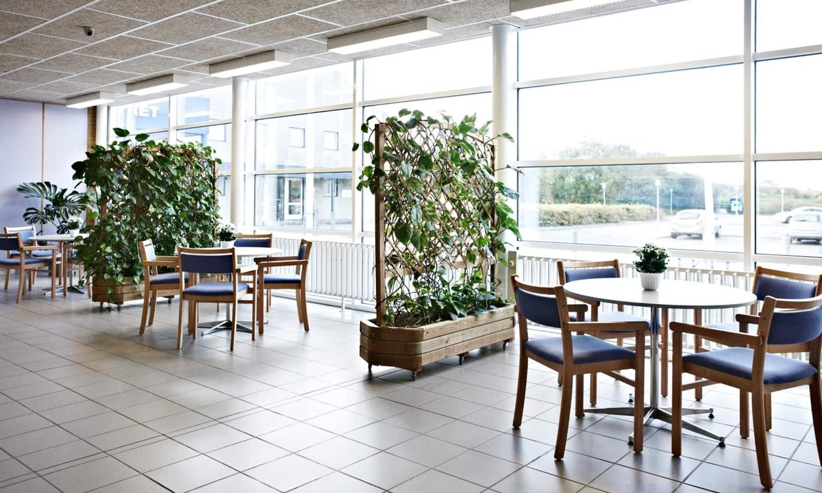 Ringkobing Hostel | Danhostel Ringkøbing