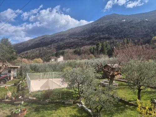 Entrevaux Apartment | Dans les oliviers de Titi et Bernard