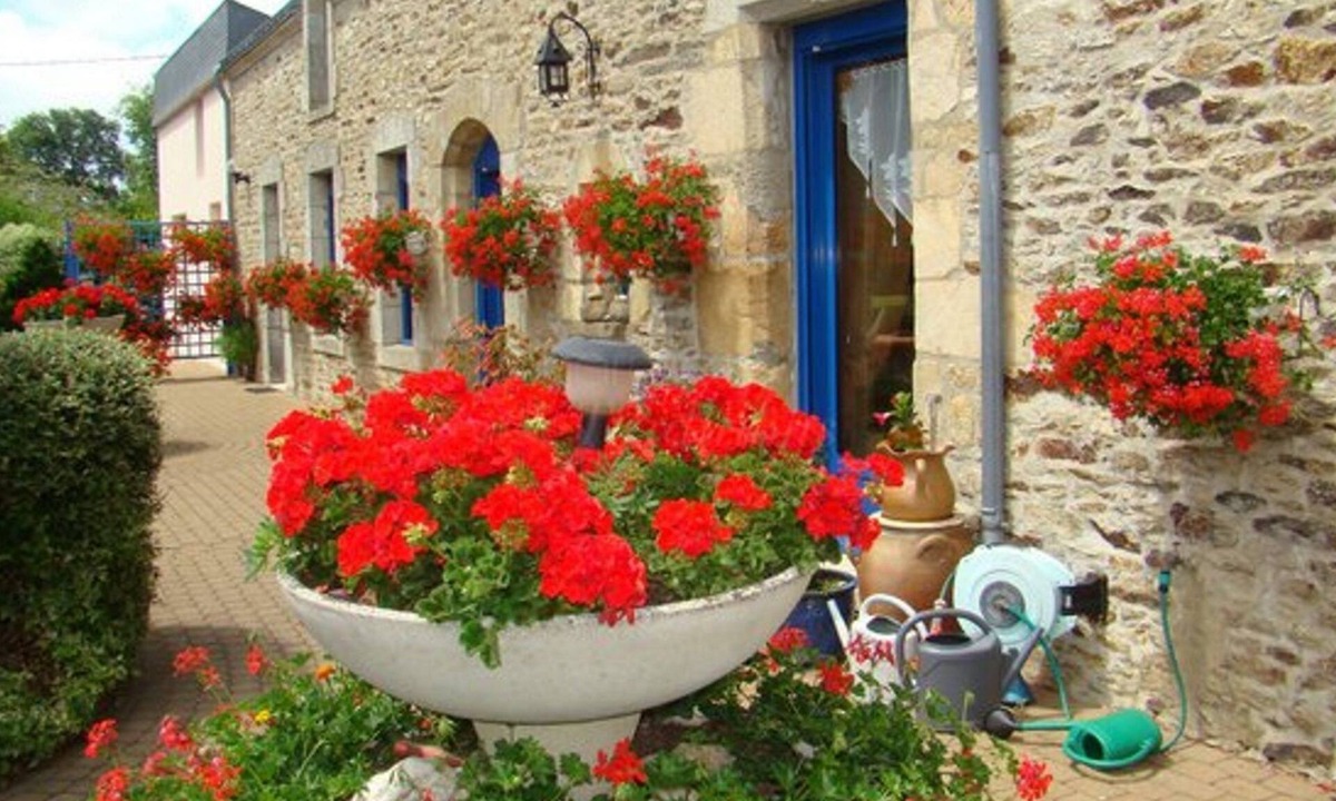 Pluvigner Bed & Breakfast | Daol Grenn - Chambres d'Hôtes