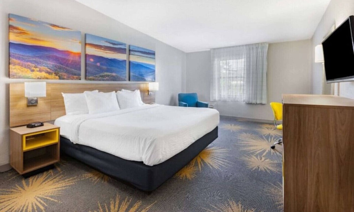 Hollins Hotel | Days Inn I81 king bed