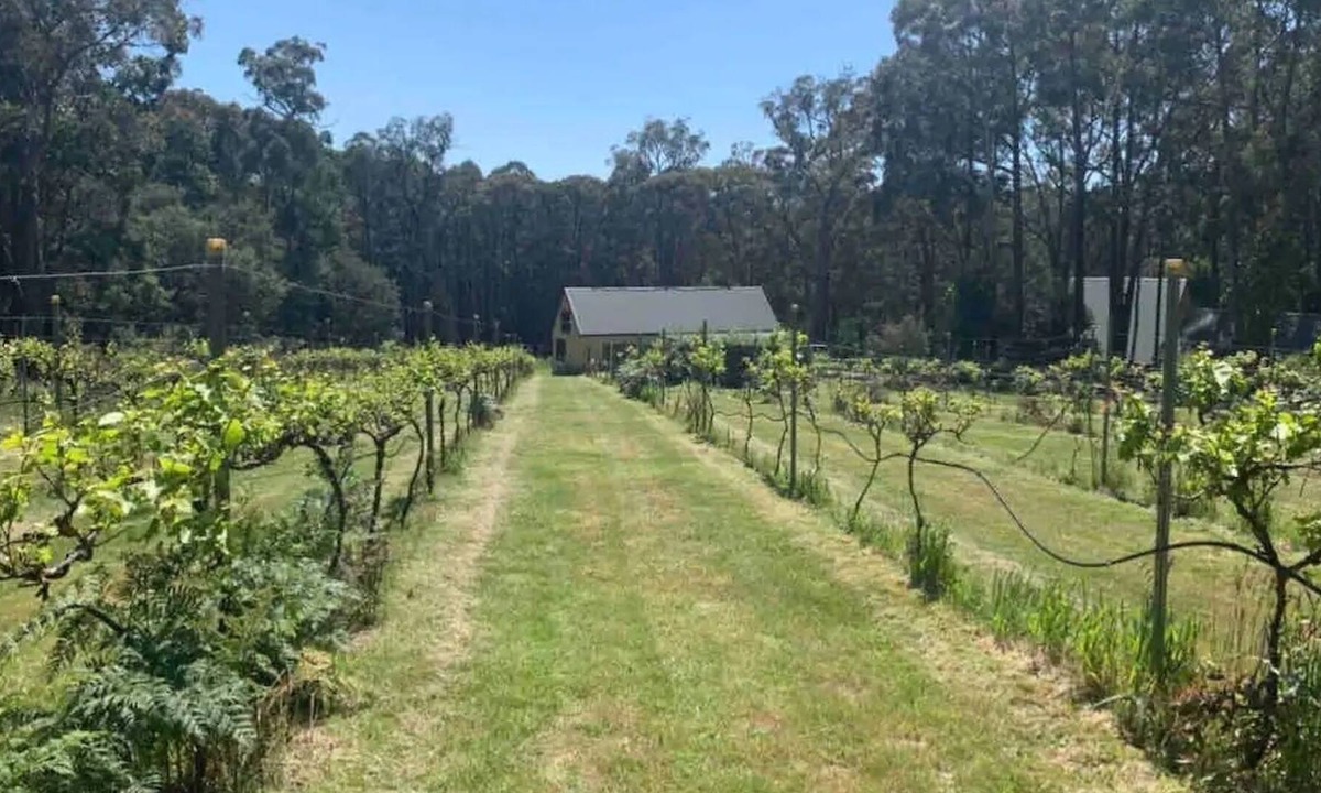 Dean House | DeAurora Cottage