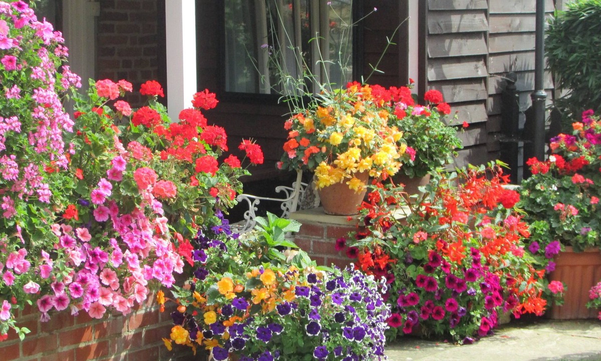 Fritton House | Decoy Barn