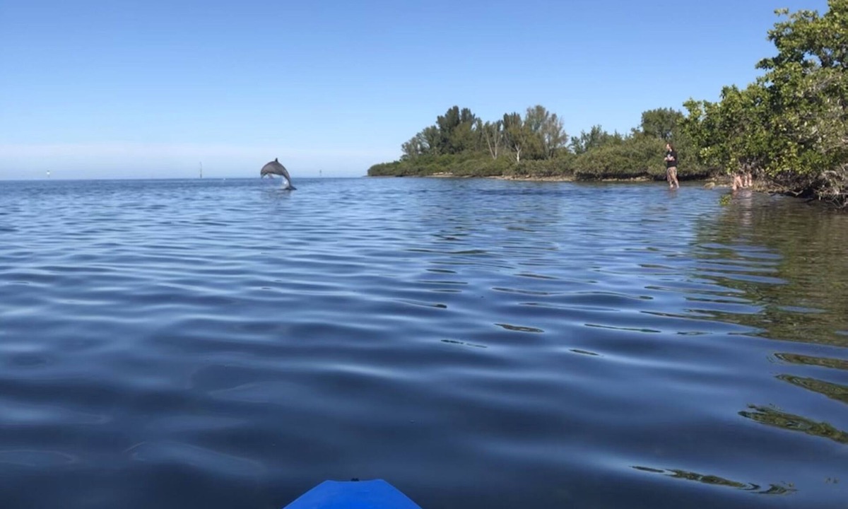 Pleasure Isles House | Deep water canal!