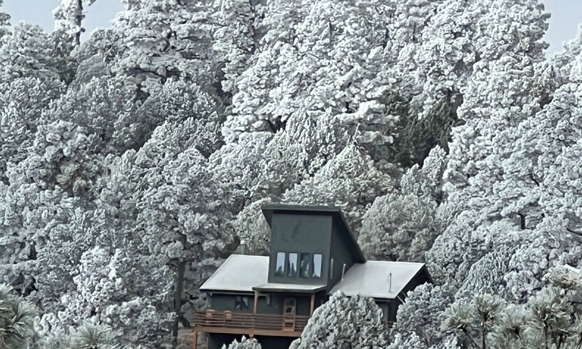Alto Cabin | Deer Lover's Paradise w/Hot Tub. Private retreat but only 5 mins to downtown.