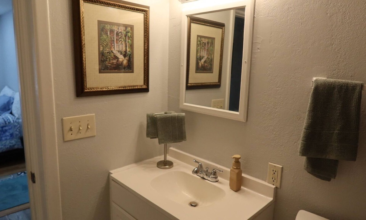 St. Petersburg - Clearwater House | Delightful 3-bedroom house in St. Petersburg~10/15 minutes to beach~Fenced yard