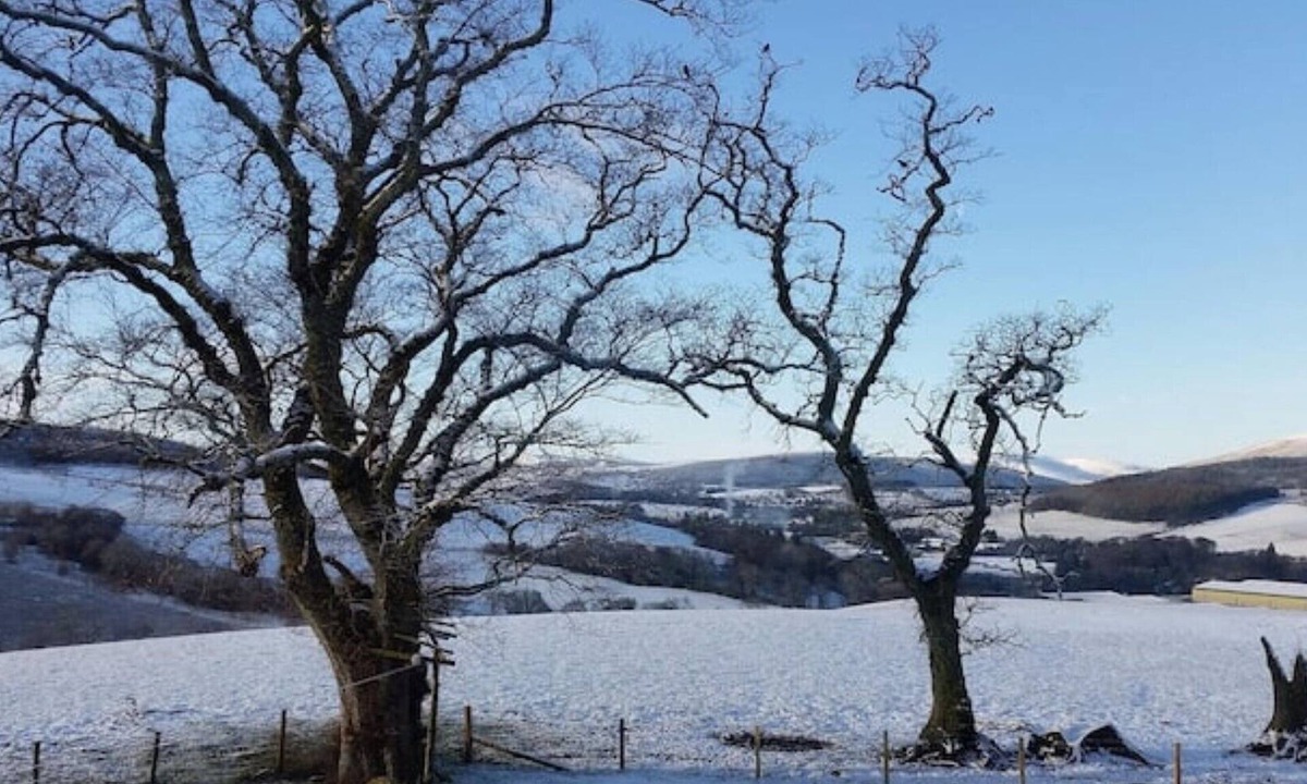 Keith Cottage | Delightfully Peaceful Cottage