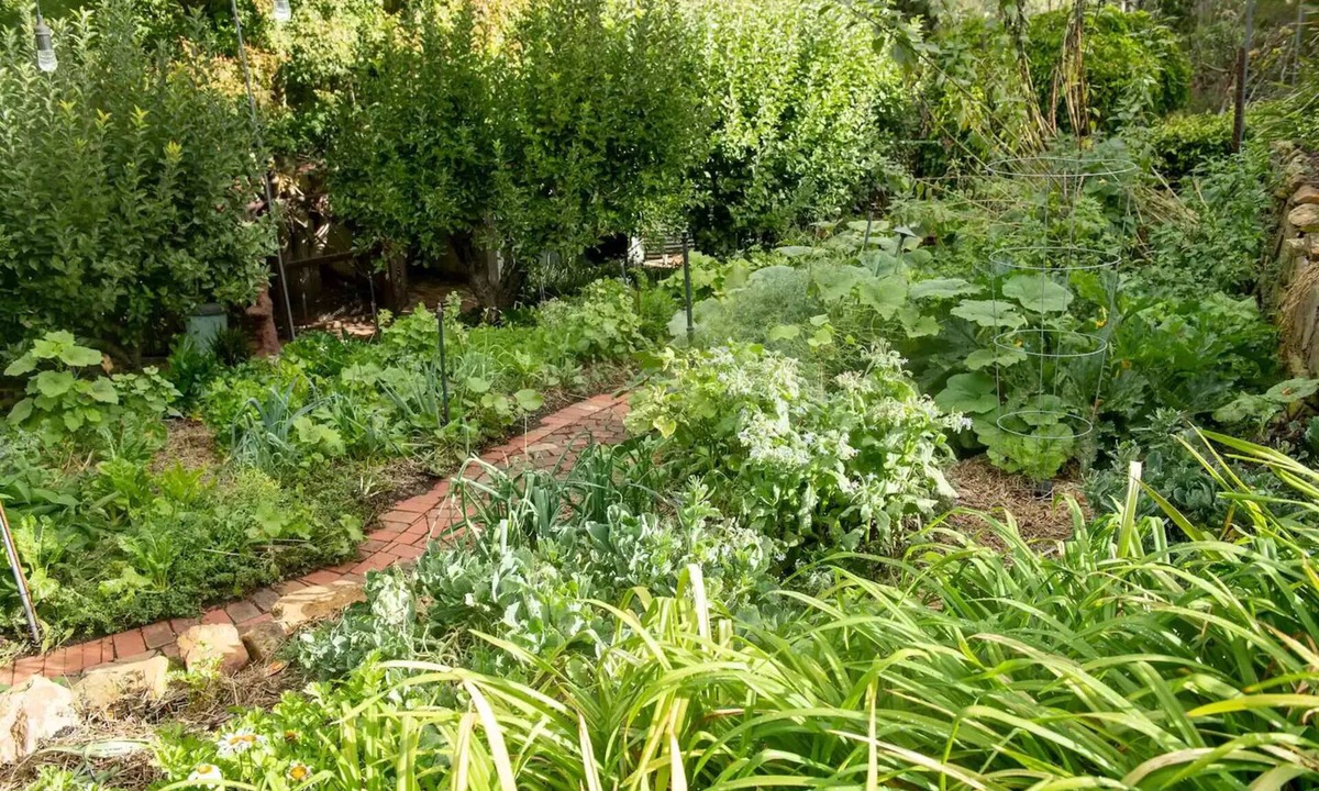 Mylor Cottage | Delphi, Adelaide Hills Garden BnB