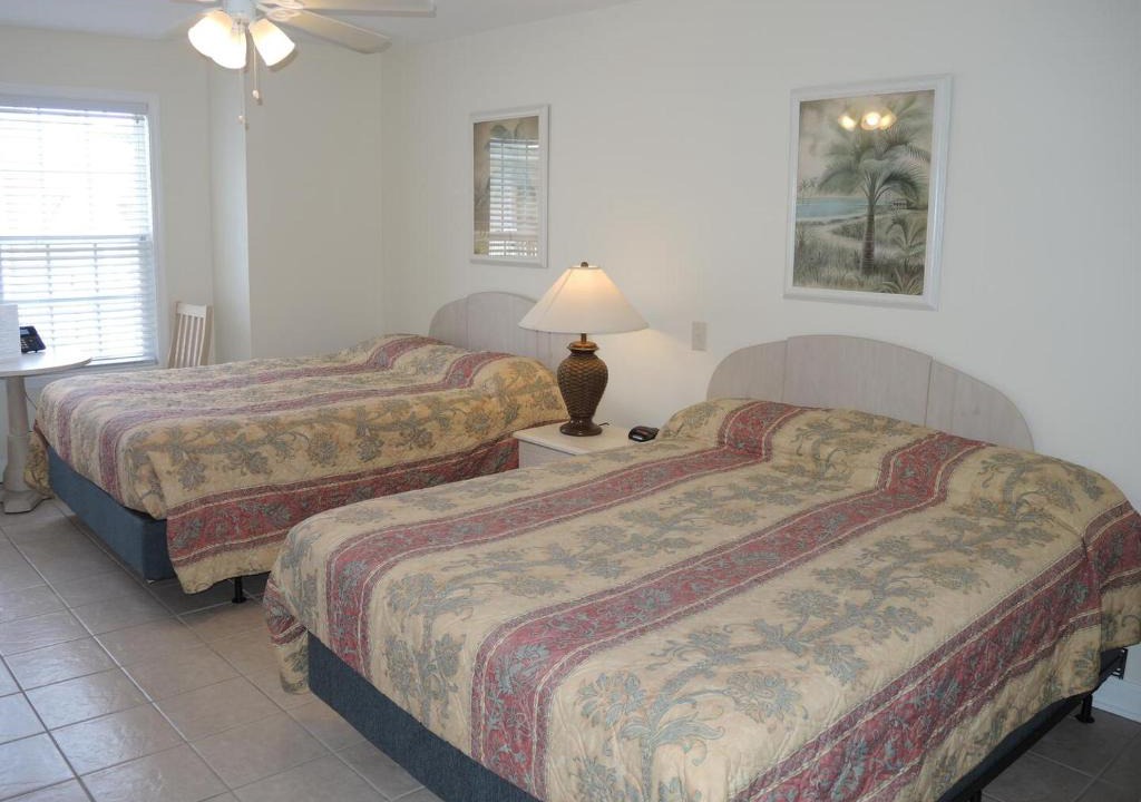 Calabash Apartment | Deluxe Double Studio