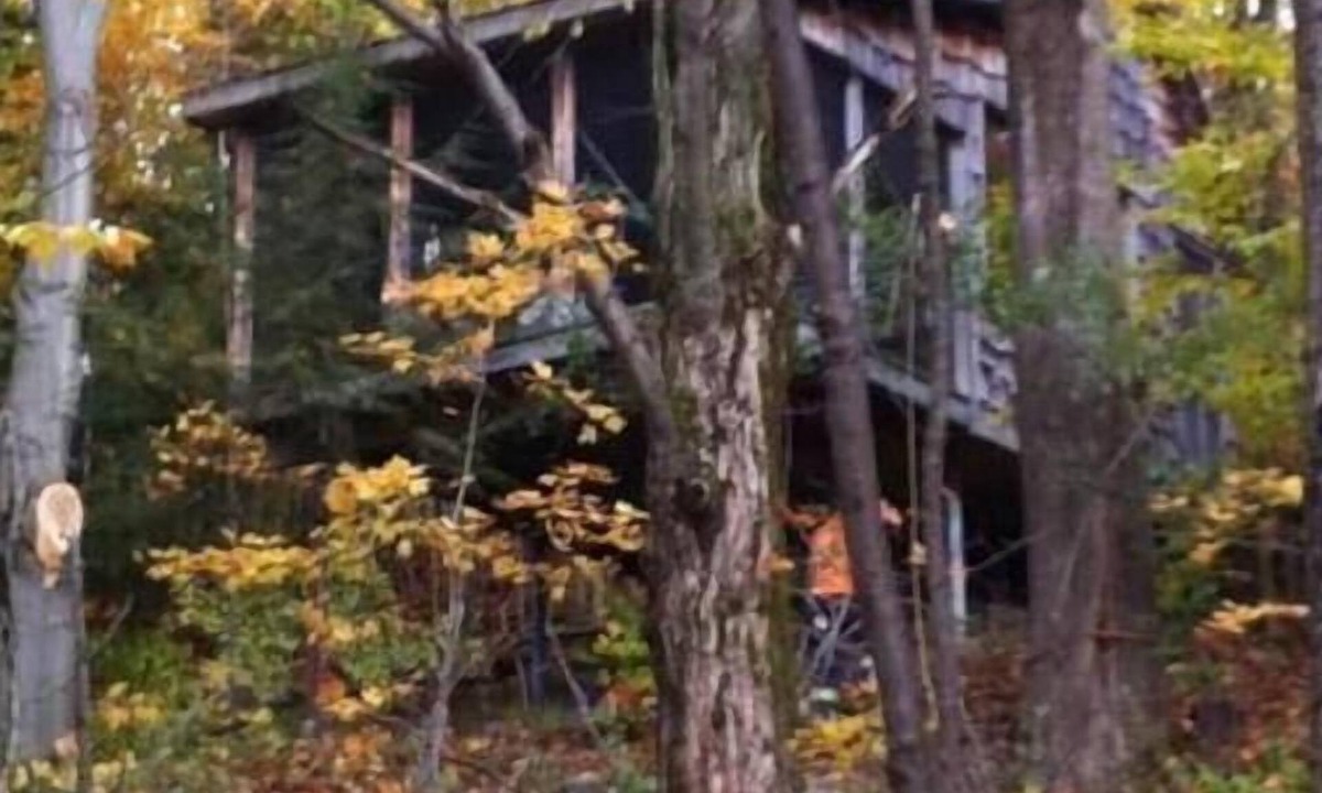 Scugog Cabin | Deluxe Tree House 1 Hour from Toronto