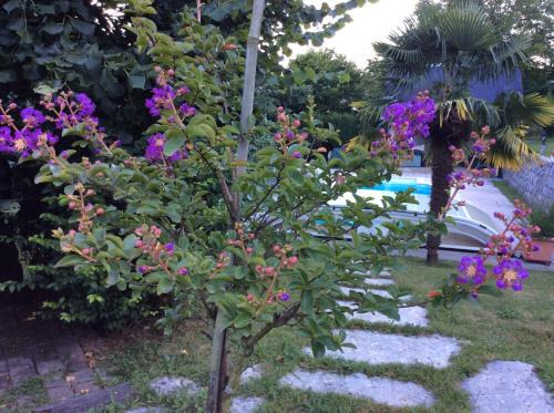 Viviers-du-Lac Bed & Breakfast | Demeure d'hôtes Les Irisynes