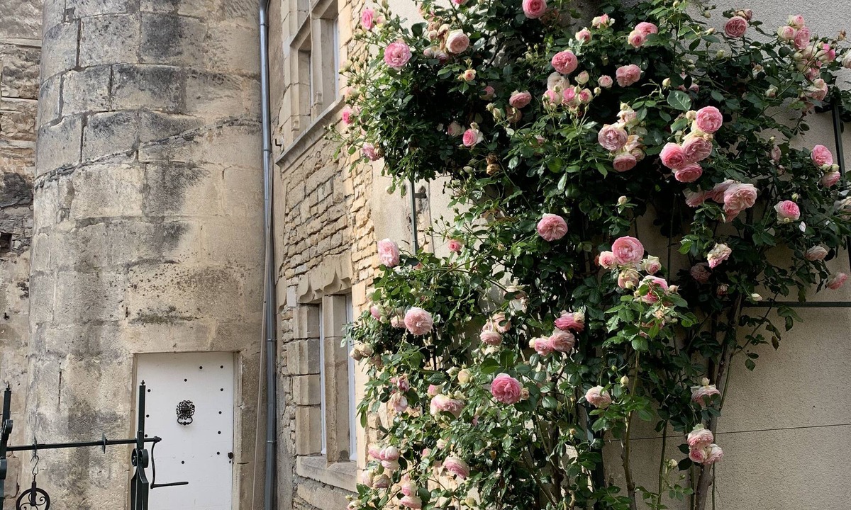 Framont House | Demeure de la tour ronde