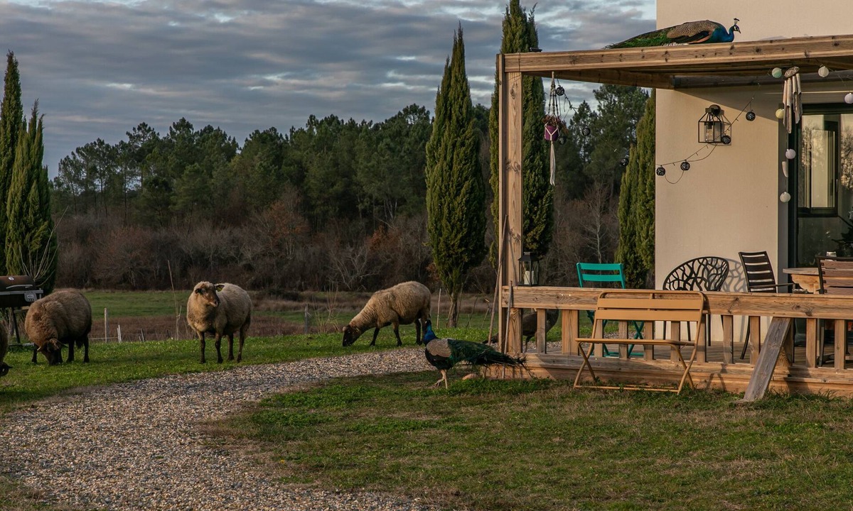 La Clotte House | Description