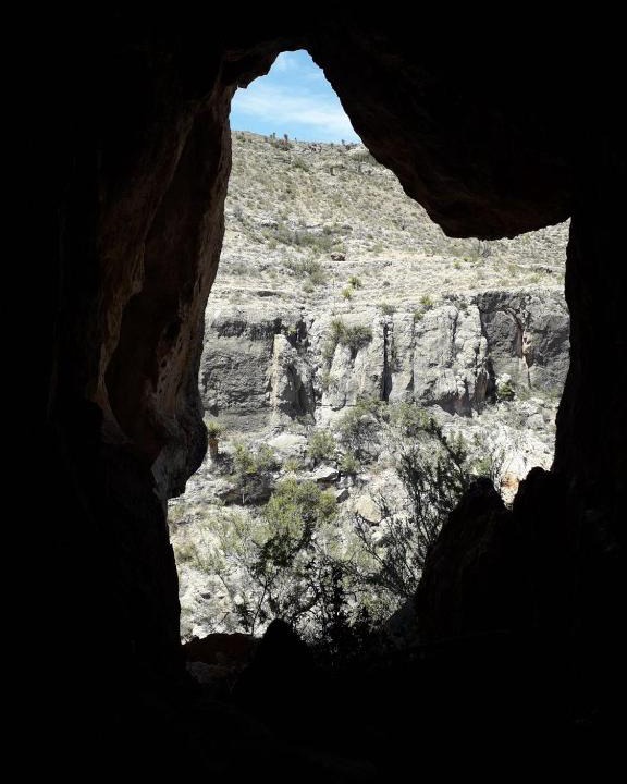 Allamoore Other | Desert Gardens Oasis Campground