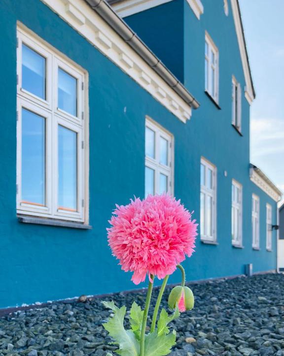 Hals Apartment | Det blågrønne Hus