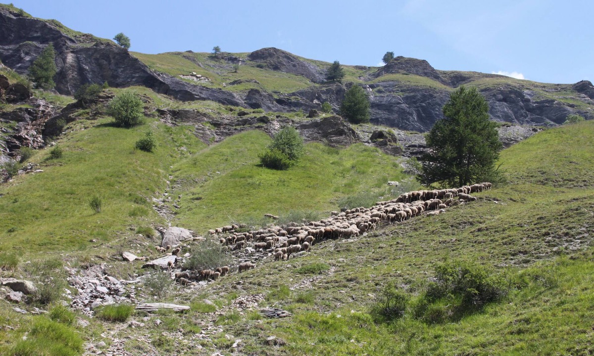 Gap House | Detached house ideally located