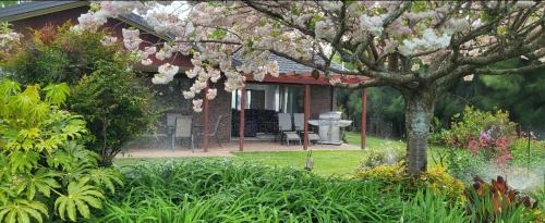 Whakatu House | Dewdrop Cottage