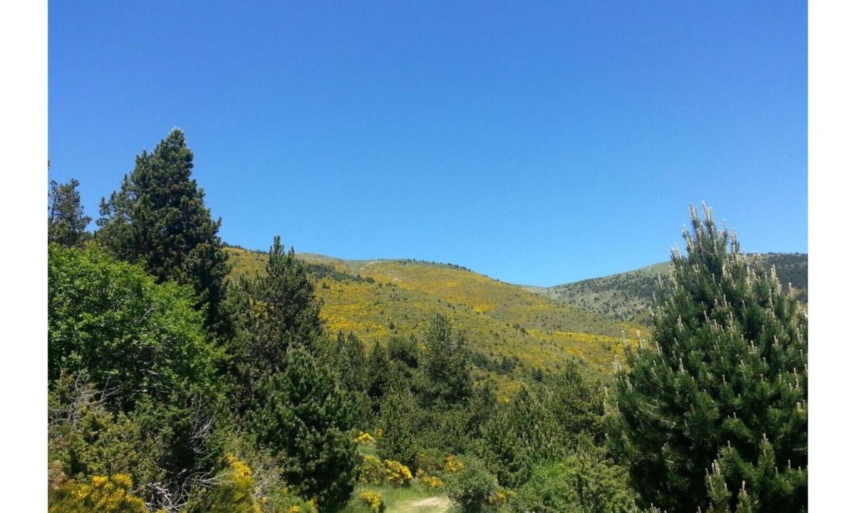 Puigcerda Bed & Breakfast | Di Verena - Three people with private bathroom nr 34