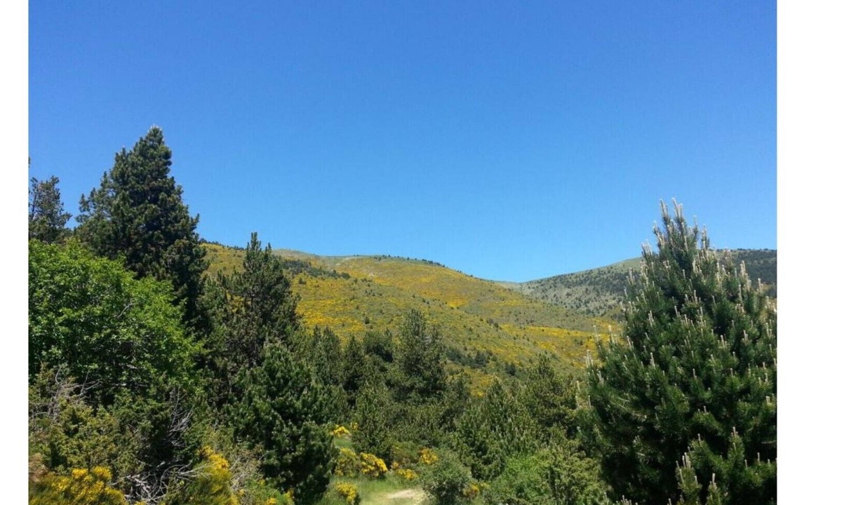 Puigcerda Bed & Breakfast | Di Verena - Two people (single beds) and private bathroom nr 28