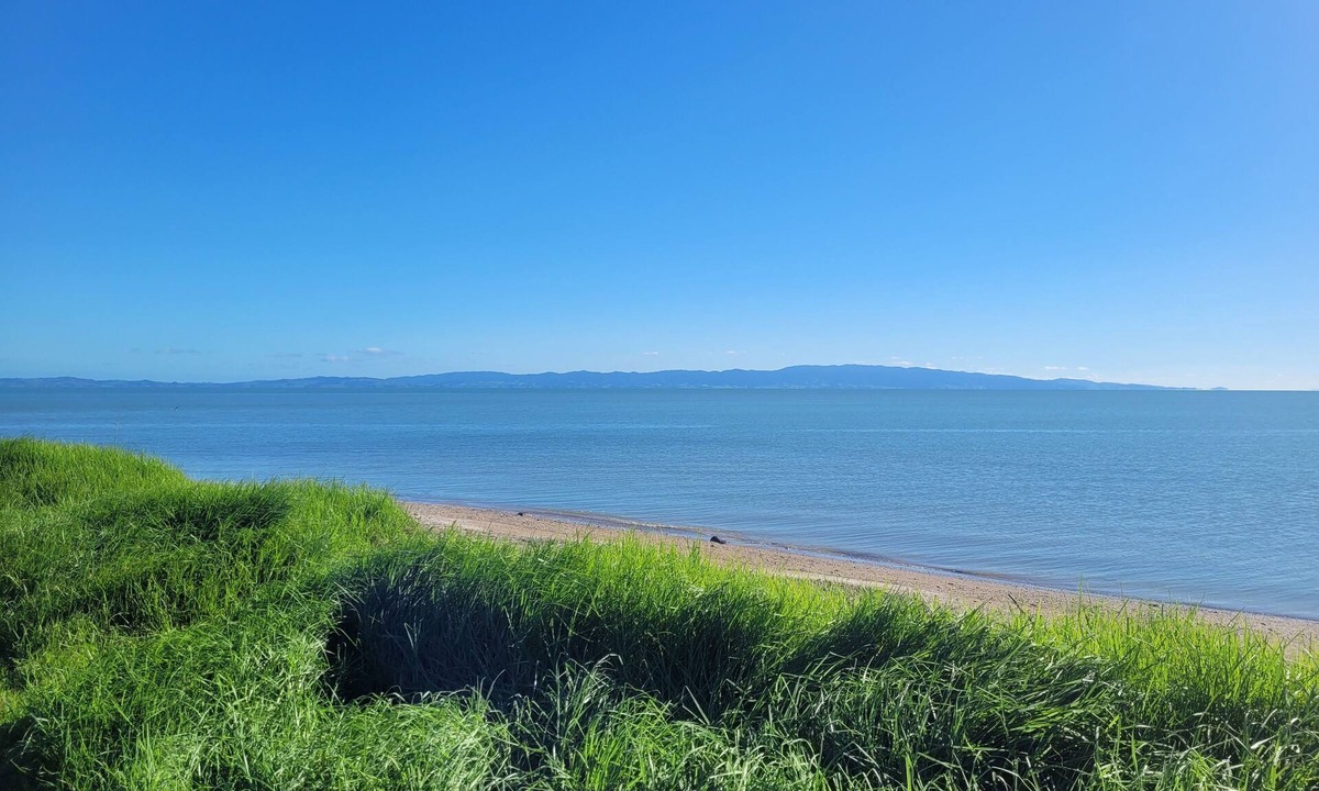 Thames Other | Dickson Holiday Park