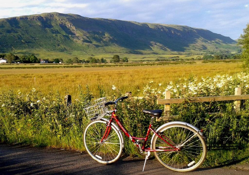 Lennoxtown House | Dingieshowe Cottage