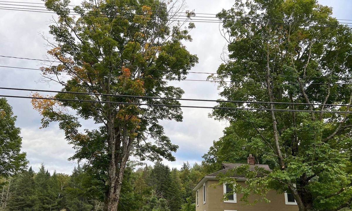 Brighton House | Direct VAST Access, In Town