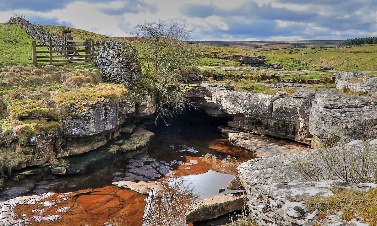 Barnard Castle Cottage | Disability accessible cottage on a working sheep farm.