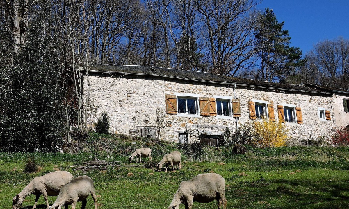 Montredon-Labessonnie Cottage | Discover our gîte for everyone: spacious, comfortable and accessible!
