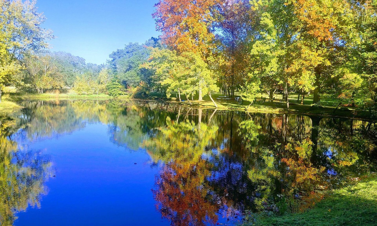 Granite Bay Other | Discover Lake Farmhouse next to 100 acres