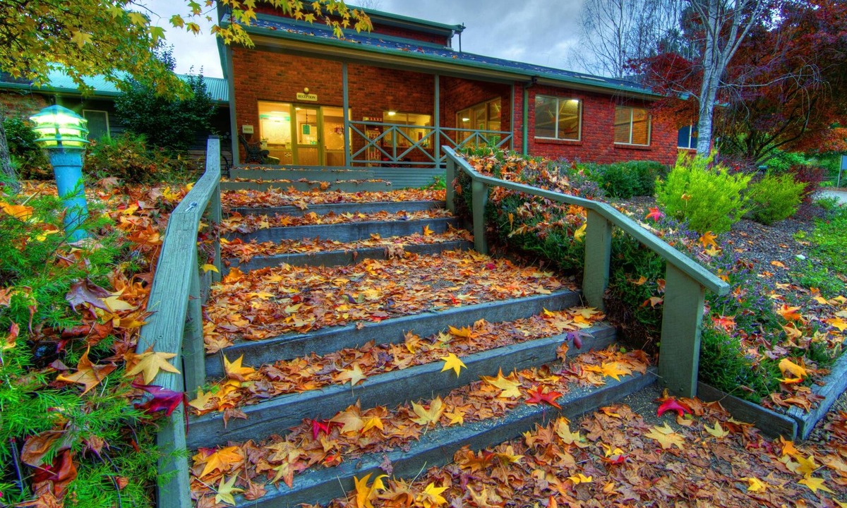 Freeburgh Cabin | Discovery Parks - Bright