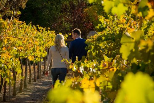 Clare Resort | Discovery Parks - Clare