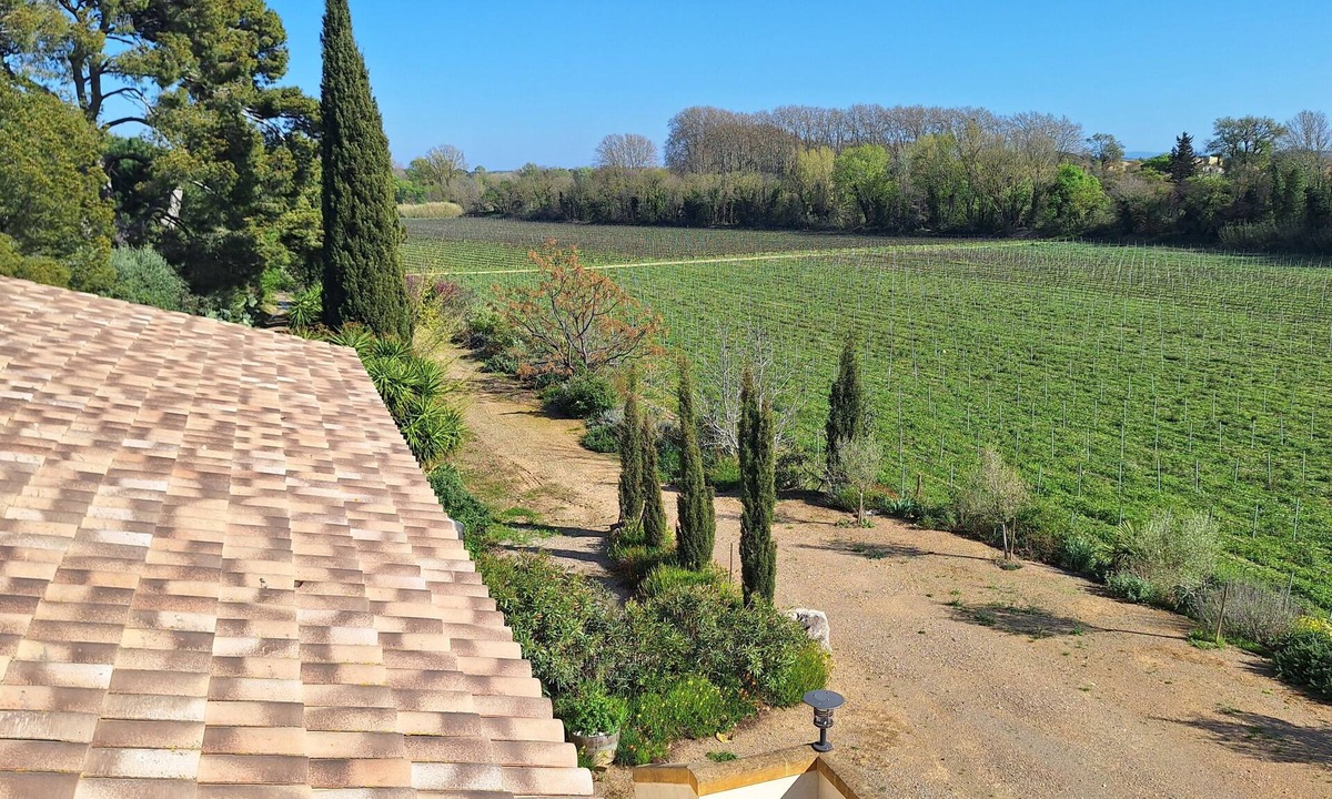 Salleles-d'Aude Apartment | DIVINE ETOILE Gîte vignoble domaine de l'herbe sainte proche Canal du Midi