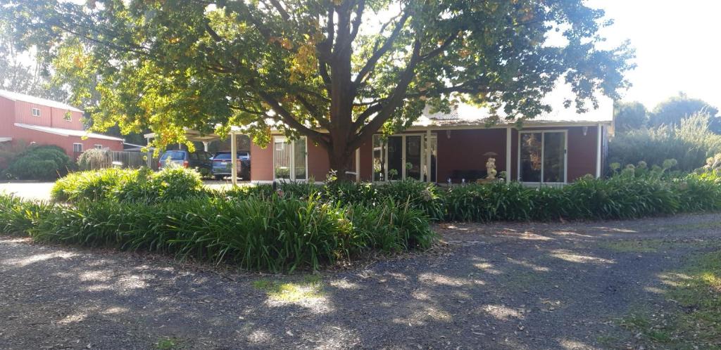 Dixons Creek Bed & Breakfast | Dixiglen Farm