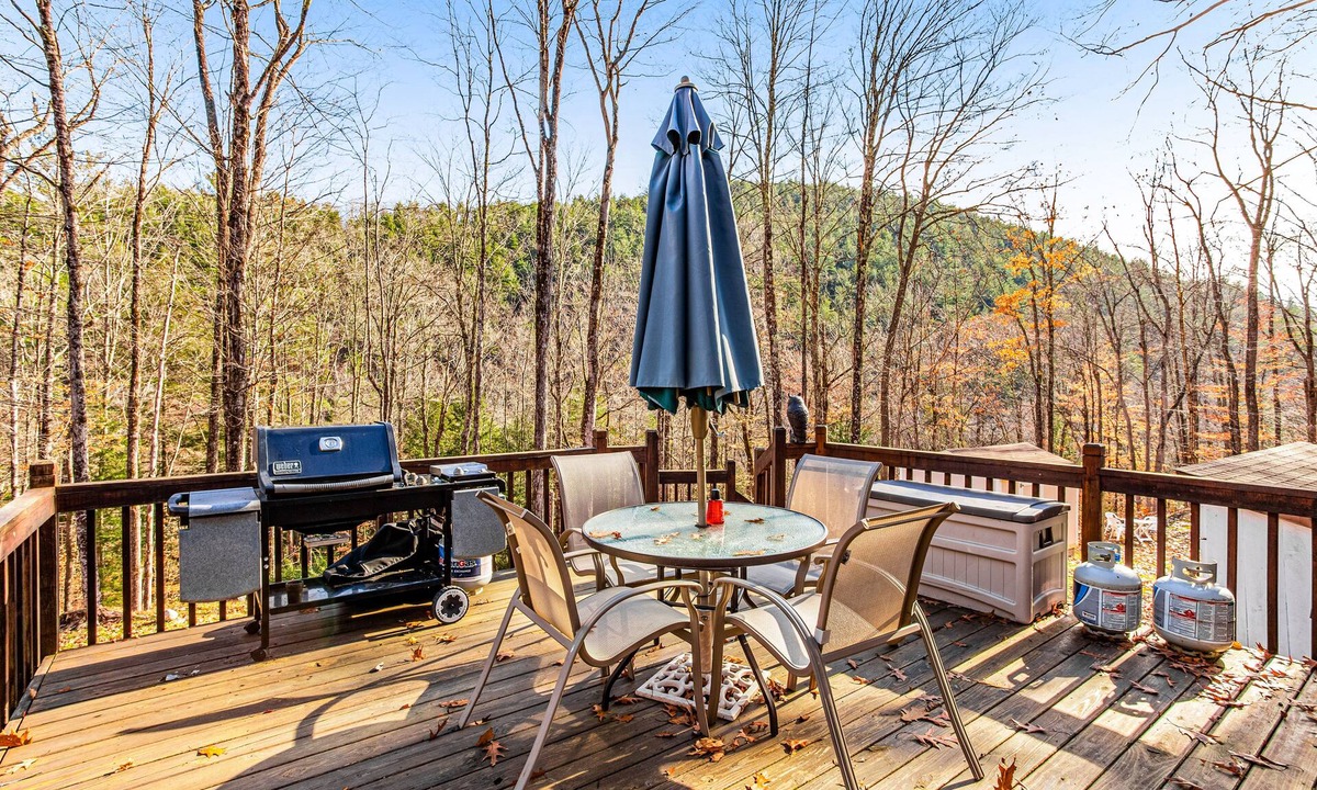 Wevertown House | Dog-friendly home with pool table, firepit, wood stove, deck, grill, & WiFi