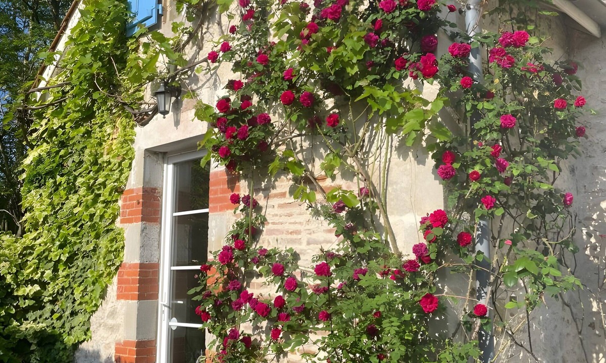 Penne-d'Agenais House | Dog-Friendly Retreat for Couples